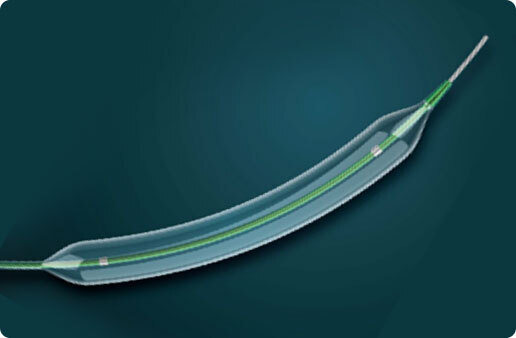 High Pressure Pta Balloon Catheter: Zyloxtb